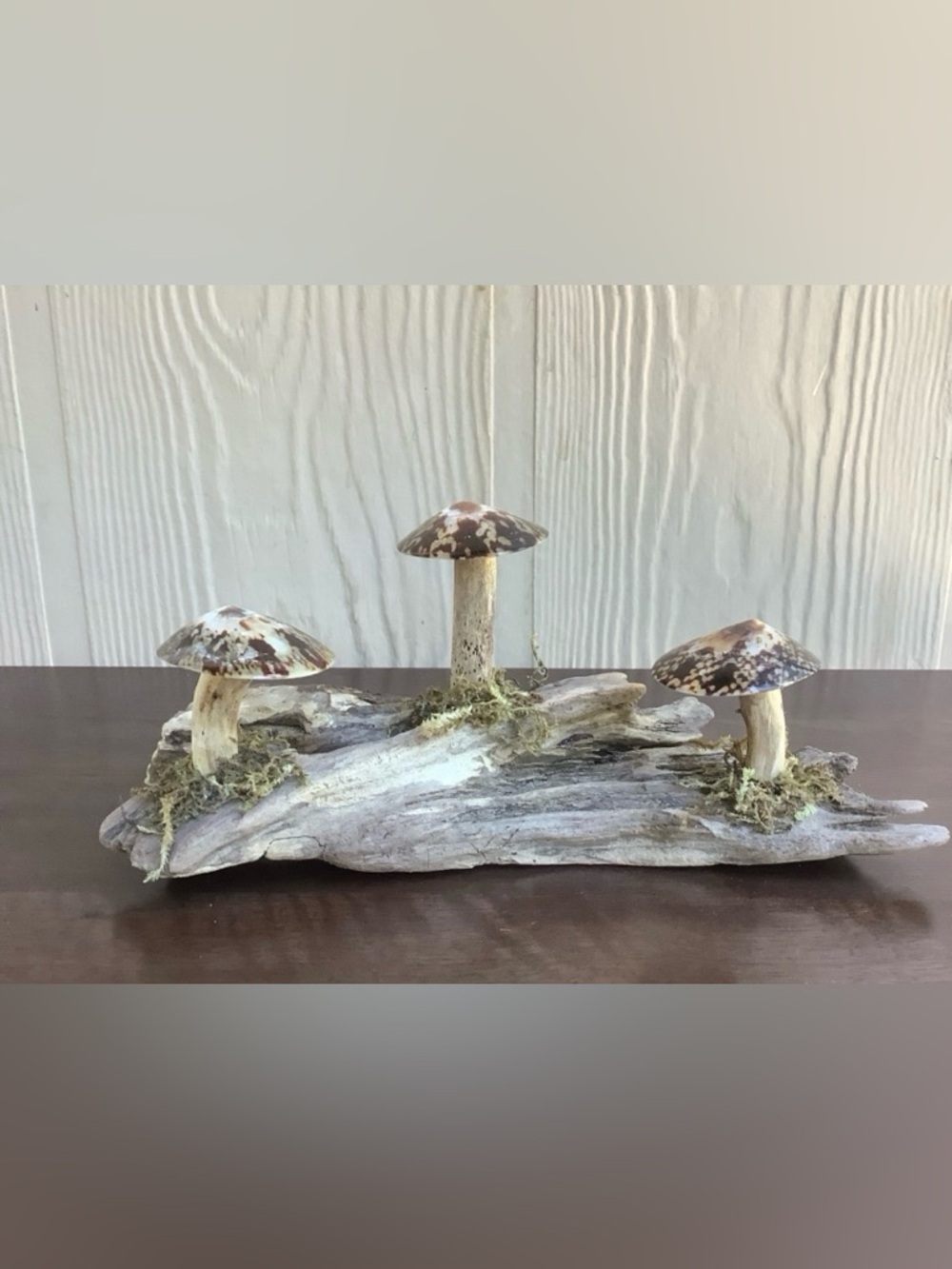 Driftwood Art, Driftwood & Limpet Seashell Mushrooms, Seashell Mushroom